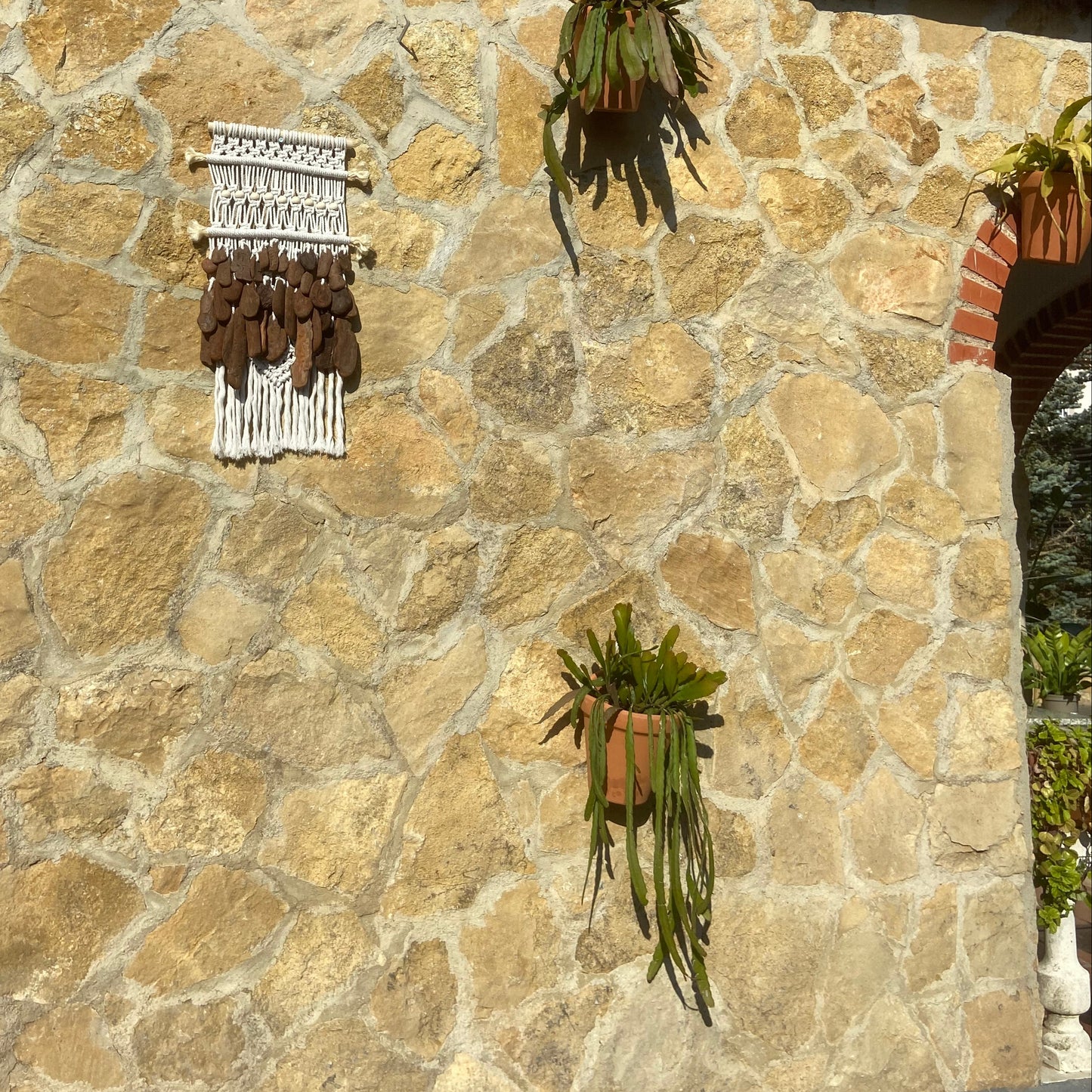 Tapiz 110 - Raíz Suspendida – Tapiz con Elementos Naturales